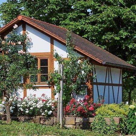 杜尔巴赫Winzerhof Woerner公寓 外观 照片